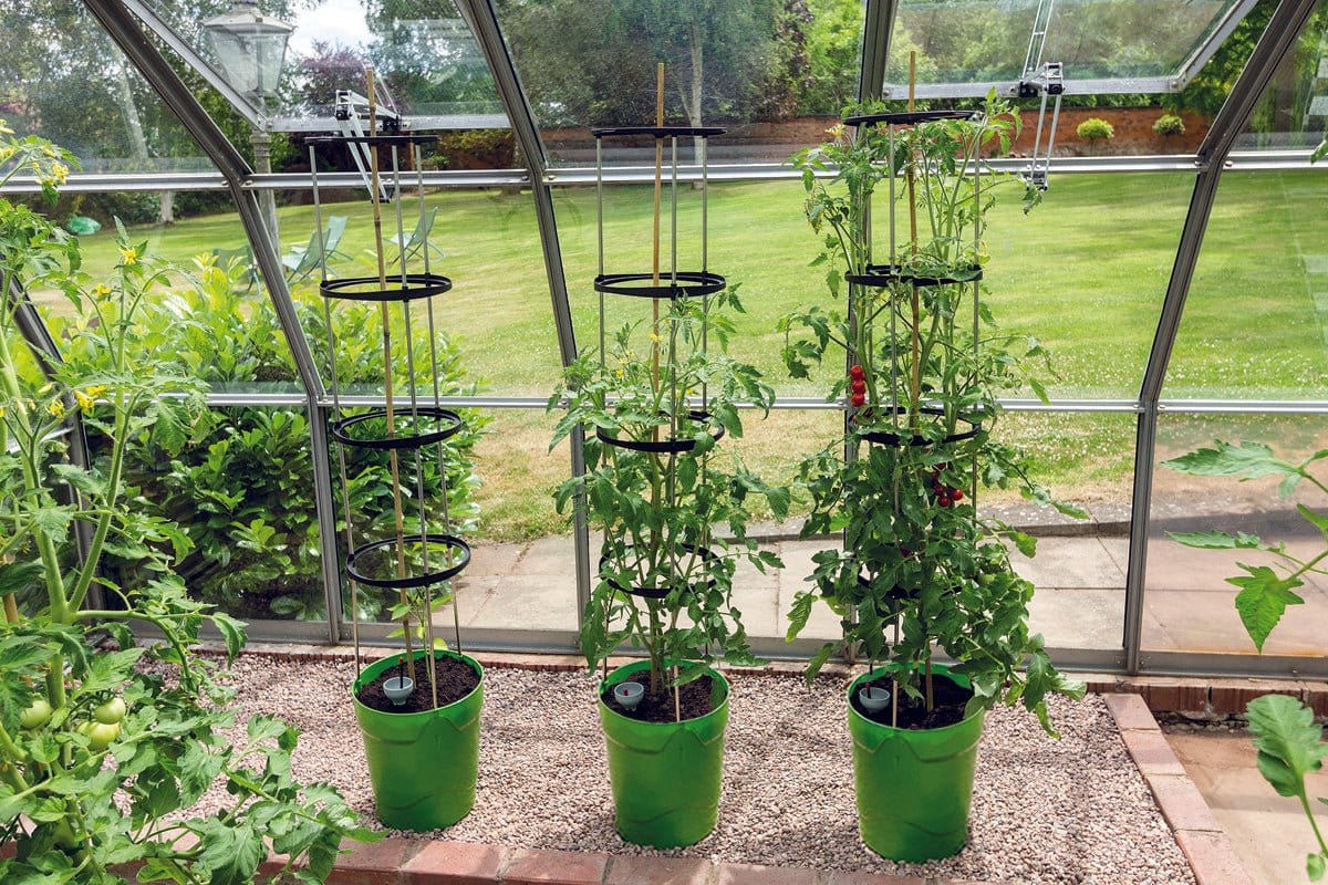 Grotårn, grøn - Blomsterverden